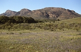 720_Flinders Ranges